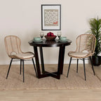Brenna Modern Bohemian Rattan and Metal 2-Piece Dining Chair Set